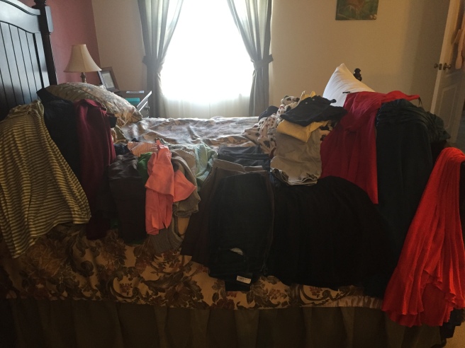 Clothes Clean-out, 18 Jan 2016 (#1)